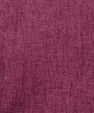 19 - Raspberry