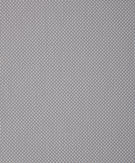05 - Light Gray