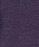 31 - Violet