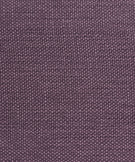 21 - Plum