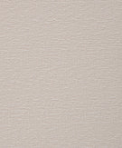 03 - Cream