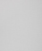 01 - White