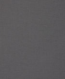 50 - Medium Gray