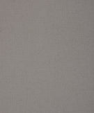 05 - Light Gray